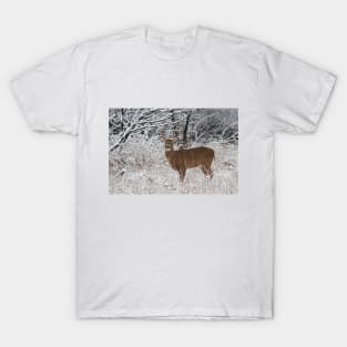 White-tailed deer buck in snow T-Shirt